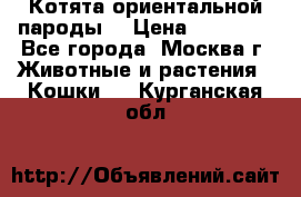 Котята ориентальной пароды  › Цена ­ 12 000 - Все города, Москва г. Животные и растения » Кошки   . Курганская обл.